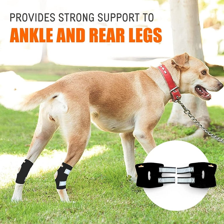 Dog rear cheap leg brace