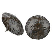 50 Pack 2 Inch Sealed Unfinished Decorative Door Nail Clavos By Borderland Rustic Hardware