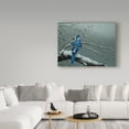 thumbnail image 3 of Trademark Fine Art 'Winter Jay' Canvas Art by Ron Parker, 3 of 3