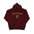 thumbnail image 1 of Harry Potter Womens Gryffindor Crest Hoodie, 1 of 3