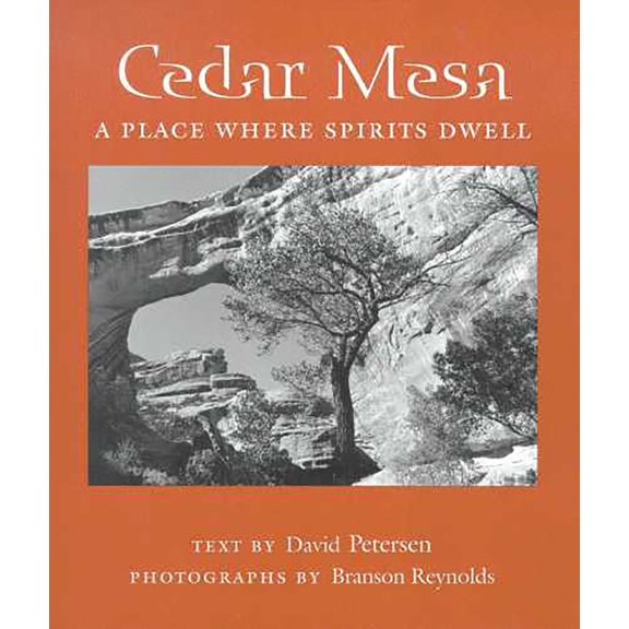 Desert Places: Cedar Mesa : A Place Where Spirits Dwell (Paperback)