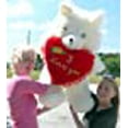 thumbnail image 4 of American Made Big Love Teddy Bear 3-feet Tall Holds I Love You Heart Pillow Soft - Made in USA, 4 of 4