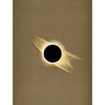 thumbnail image 2 of Corona of the Sun during Total Eclipse  1878 Poster Print by Science Source, 2 of 2