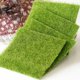 thumbnail image 4 of Jardín de hadas en miniatura Hada realista Jardín de césped artificial Casa de muñecas Jardinería DIY Moss Kearding JJ17317-02, 4 of 6