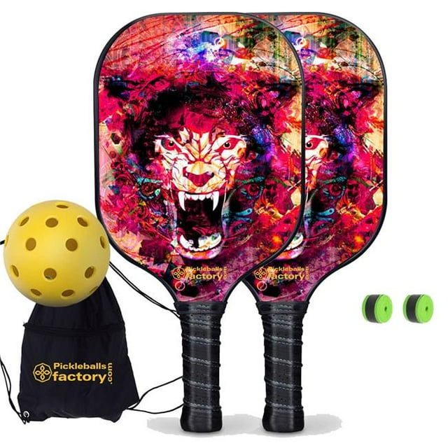 Pickleball Factory PB0002-6-C Best Pickleball Set - Pickleballtournament Paddle, Carbonfiber Graphite
