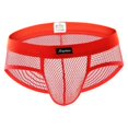 thumbnail image 1 of Ropa interior de malla para hombres,Calzoncillos de rejilla transparentes,Bragas masculinas,Calzoncillos con bolsa abultada,Ropa interior transpirable,Lencería de hombre BLESIY Ropa interior de malla para hombres, 1 of 8