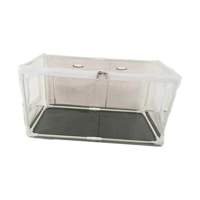 jinwen Conteneur de Culture de Champignons Kit DIY Intérieur Couvercle Transparent pour Enfants et Adultes