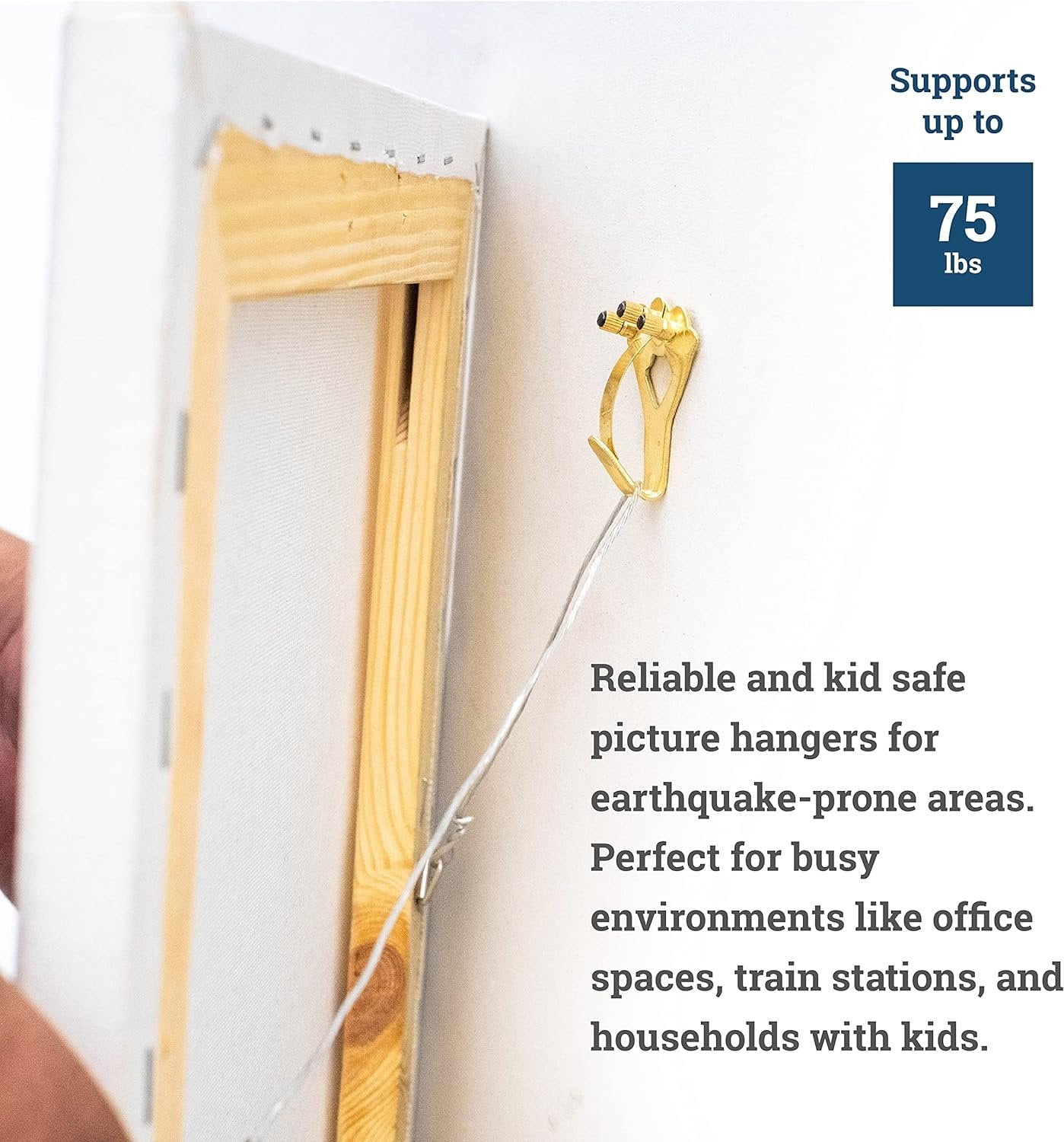 Picture Hang Solutions 75-lb Capacity Tremor Hangers - Earthquake-Proof Picture Hangers 10 Pieces Per Pack