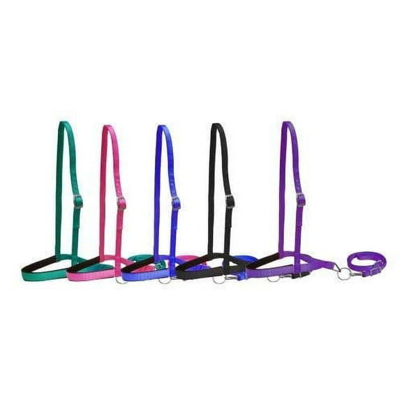 Showman Pony Size Premium Nylon Noseband Tie Down w/ Strap (Black)