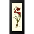 thumbnail image 2 of Vision Studio 11x24 Black Modern Framed Museum Art Print Titled - Custom Amaryllis Panel I, 2 of 5
