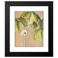 thumbnail image 2 of Hannah Borger Overbeck 20x24 Black Modern Framed Museum Art Print Titled - May Apple (circa 1915), 2 of 5