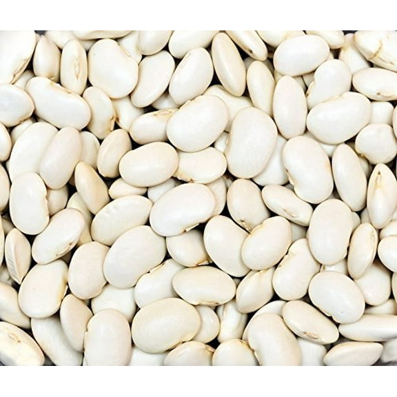 Bean Dry Great Northern Great Heirloom Garden Vegetable Seeds by Seed Kingdom (1 Lb Seeds)