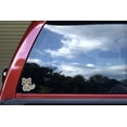 thumbnail image 3 of StickerTalk Raccoon Vinyl Stickers, 1 sheet of 2 stickers, 3 inches x 3 inches each, 3 of 3