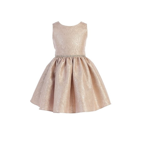 Sweet Kids Little Girls Rose Ornate Imperial Brocade Christmas Dress