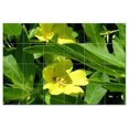 thumbnail image 1 of Flowers Usda Ceramic Tile Mural Kitchen Backsplash Bathroom Shower, 405075-XL64, 1 of 3