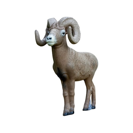 Rinehart Signature Series Bighorn Sheep 3D Foam Archery Target