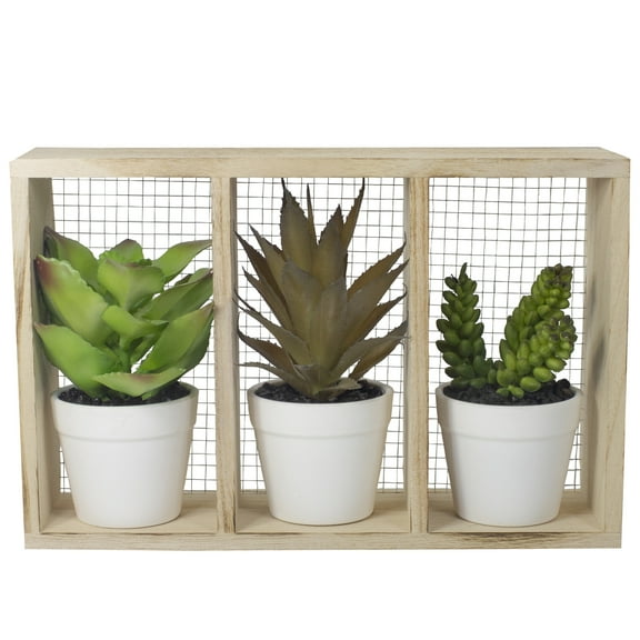 10.75" Artificial Mixed Potted Succulents in Wooden Box