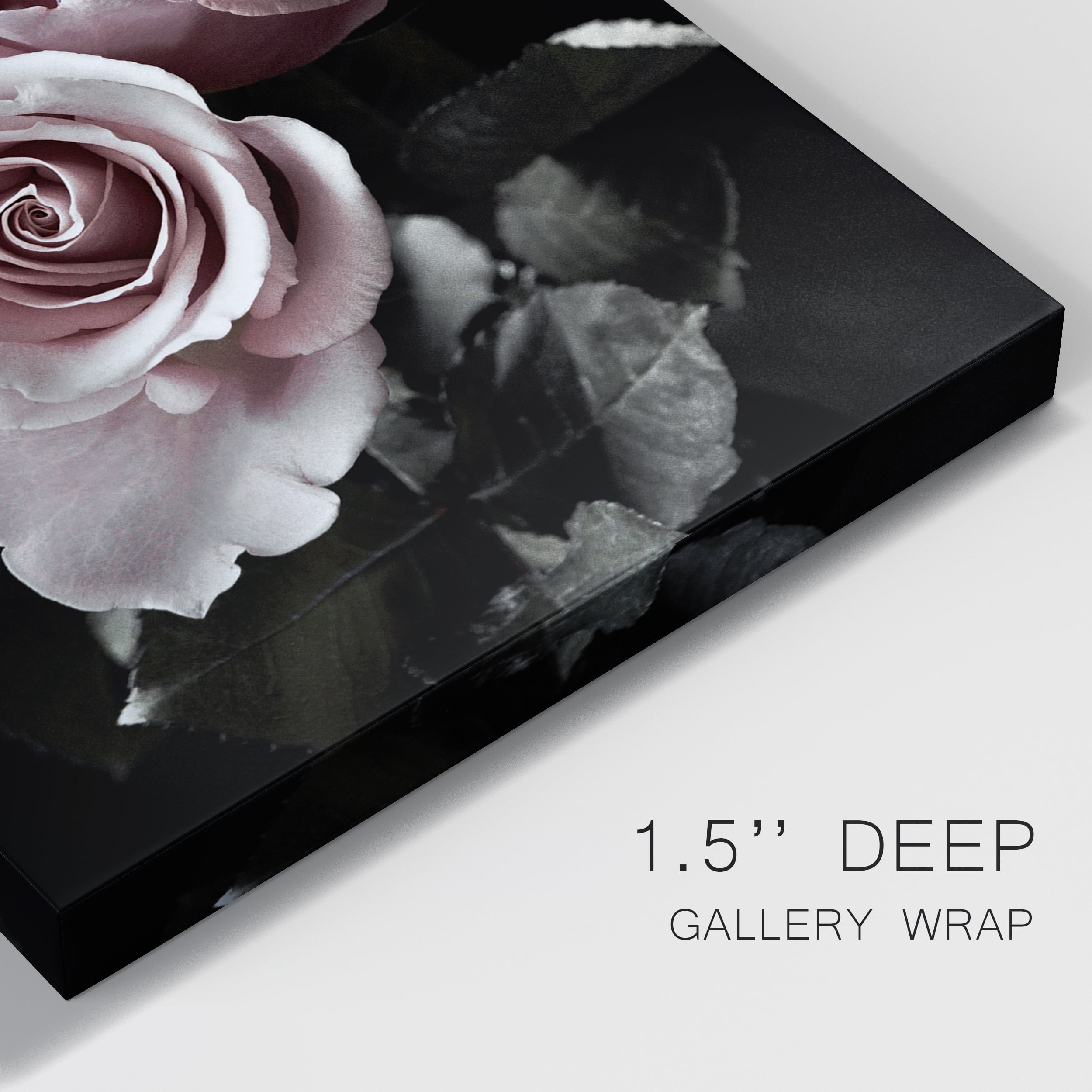 Rose Noir I Premium Gallery Wrapped Canvas - Ready to Hang - 40 x 60