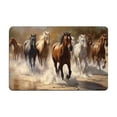 thumbnail image 2 of Fmbmuo Rectangle Entryway Rug Waterproof Multicolor Horse Print indoor/Outdoor Decorations, Non-Slip Absorbent Modern Floor Mats 16 x 24 inch, 2 of 5
