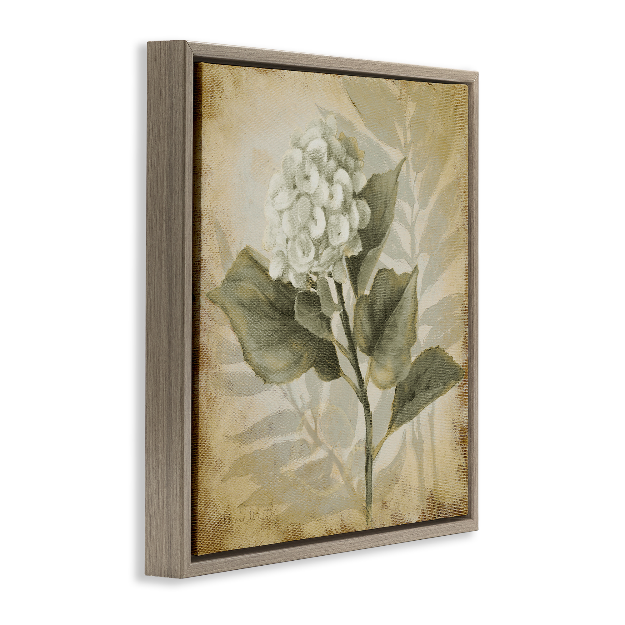 Stupell Industries Aubergine Hydrangea Impression Plants & Flowers