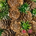 thumbnail image 7 of Northlight MIni Pinecone and Berries Small Frosted Christmas Wreath - 13" - Unlit, 7 of 7