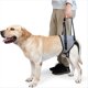 thumbnail image 2 of Arnés para Perros Mayores, Arnés de Soporte para Patas Traseras para Rehabilitación de Patas Traseras Débiles, Discapacidades y Lesiones, 2 of 6
