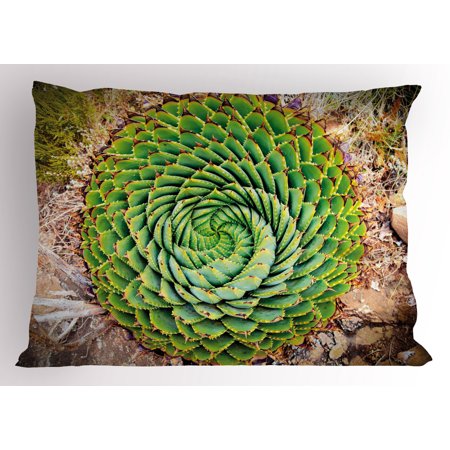 20 Inch Tubular Spiral - Plant Pillow Sham National Flower of Lesotho South of Africa Aloe Polyphylla Spinning Spiral Aloe Vera, Decorative Standard King Size Printed Pillowcase, 36 X 20 Inches, Multicolor, by Ambesonne