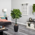 thumbnail image 5 of Nearly Natural 5? Money Artificial Tree in Black Square Planter, 5 of 5