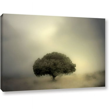 Mark Ross "Room To Grow" Wrapped Canvas Art