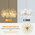 thumbnail image 5 of KPIBEST Gold Chandeliers for Dining Room L23.6 inch Chandelier Light Fixture, Dining Room Chandelier Over Table, E14 Base Chandelier for Bedroom, Living Room, Foyer, 5 of 13
