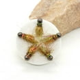 thumbnail image 6 of 5pcs Fly Hook Trout Fishing Lures Fast Sinking Tungsten Bead Head Nymph Fly Bait, 6 of 6