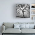 thumbnail image 2 of Moises Levy 'Lightning Tree II' Canvas Art, 2 of 4