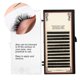 thumbnail image 1 of Natural Silk Protein False Eyelashes Dense Thick Fake Eye Lashes Extension Makeup Tool 8mm, 1 of 4