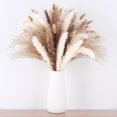 thumbnail image 7 of 100 Pcs Pampas Grass for Boho Home Room Decor, 17" Neutral Dried Pompas Flowers for Western Modern Bedroom Table Bathroom Wedding Baby Shower Décor, 7 of 7