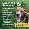 thumbnail image 2 of Happy Jack® Mange Medicine & Mange Treatment for Dogs & Horses - Brings Soothing Itch Relief to Hot Spots, Severe Mange, Fungi, Allergies, Eczema & Most Dog Skin Irritation (8 oz), 2 of 9