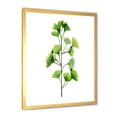 thumbnail image 2 of Designart 'Green Field Plant Foliage Branch' Farmhouse Framed Art Print, 2 of 4
