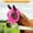 Hot Pink, variant on Kokovifyves Home and Garden Clearance Anti-Fly Mesh Equine Mask Comfort Fit Fly Mask Protects Eyes and Ears