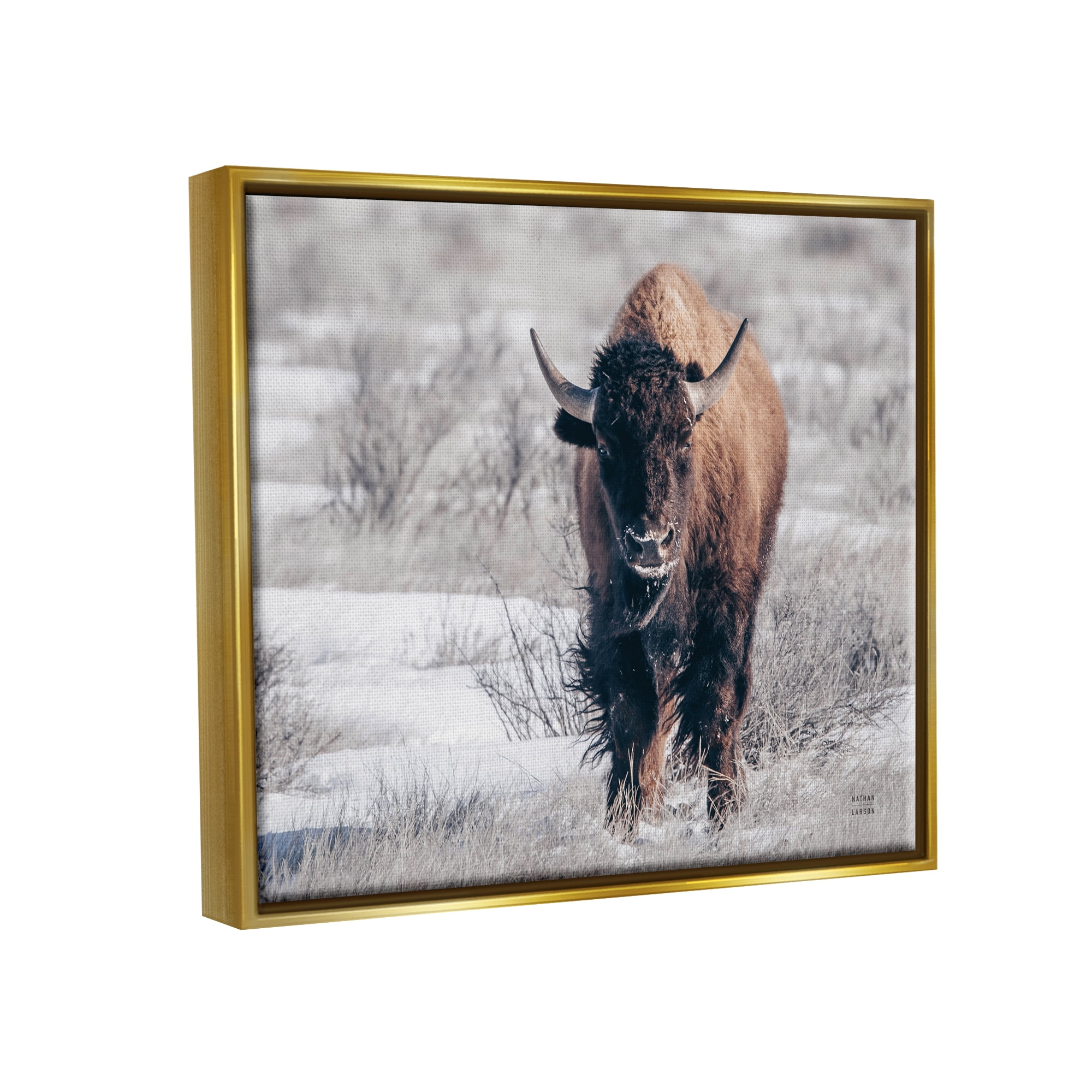 Stupell Industries Bison in Rural Snow Scene Animals & Insects Photography Gold Floater Framed Art Print Wall Art, 31 x 25