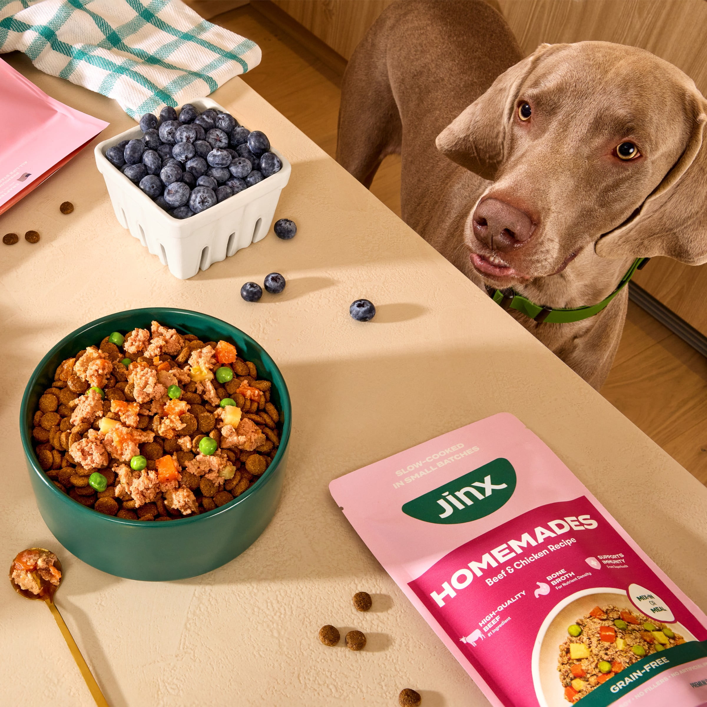 (3 pack) Jinx Homemades Beef & Chicken Recipe Wet Natural Dog Food, 9 oz Pouch
