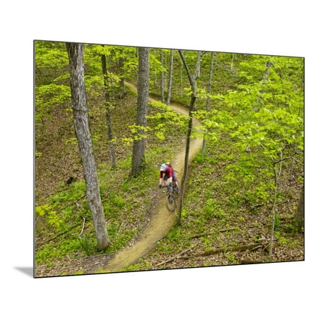 Mountain Biking at Brown County State Park in Indiana, Usa Wood Mounted Print Wall Art By Chuck