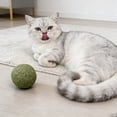 thumbnail image 4 of MKHSQHDG Aubaines du Jour Chat Léchable Grand 10 cm Léchage Interactif pour Chat Intérieur Extérieur, 4 of 4