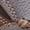 Brown Tumb, variant on Clarks Mens Bradley Step Loafers