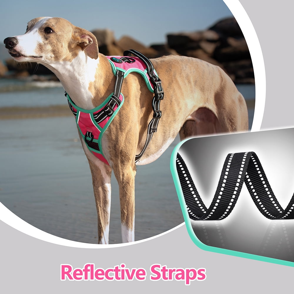 PHOEPET 2019 Upgraded No Pull Dog Harness, Reflective Adjustable Vest, with a Training Handle + 2 Metal Leash Hooks+ 3 Snap Buckles +4 Slide Buckles