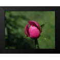 thumbnail image 2 of Bonin, Suzanne 24x19 Black Modern Framed Museum Art Print Titled - Budding, 2 of 5