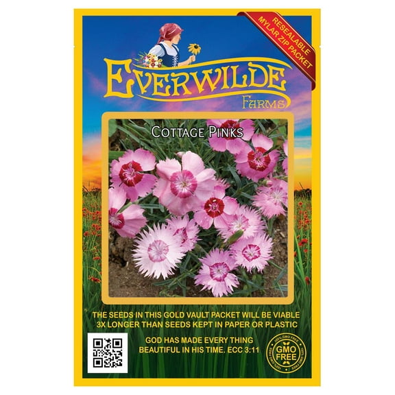 Everwilde Farms - 1000 Cottage Pinks Garden Flower Seeds - Gold Vault Jumbo Bulk Seed Packet