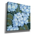 thumbnail image 2 of Epic Graffiti 'Blue Hydrangeas I' by Tim O'Toole, Canvas Wall Art, 26"x26", 2 of 2