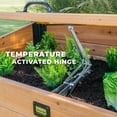 thumbnail image 5 of Backyard Discovery Aggie 4x2' Cedar Wood Cold Frame Mini Greenhouse, Polycarbonate Lid, 5 of 12