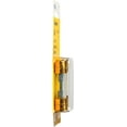 thumbnail image 3 of Bussmann BP/AGU-60GP-RP Gold Plated 60 Amp Fast Acting AGU Fuse, Pack of 2, 3 of 6