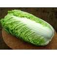 thumbnail image 2 of HJADGG Napa Chinese Peking Cabbage Vegetable for Planting Heirloom Non GMO, 2 of 8