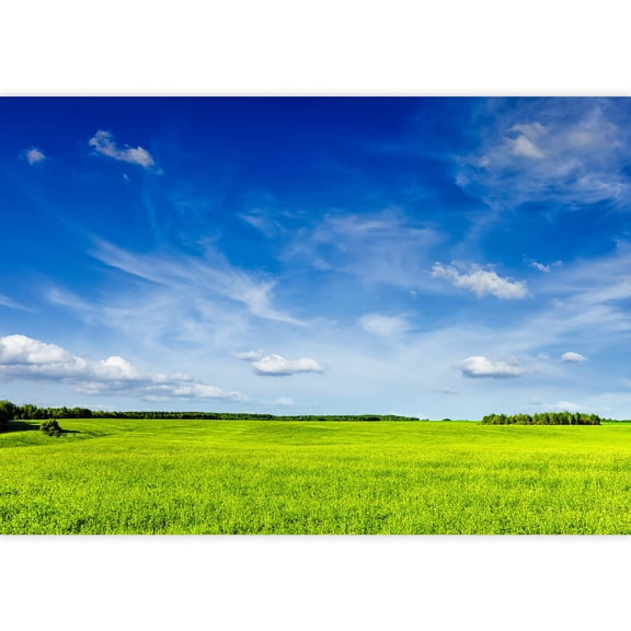 wall26 - Spring Summer Background - Green Grass Field Meadow Scenery lanscape with Blue Sky - Removable Wall Mural | Self-Adhesive Large Wallpaper - 100x144 inches